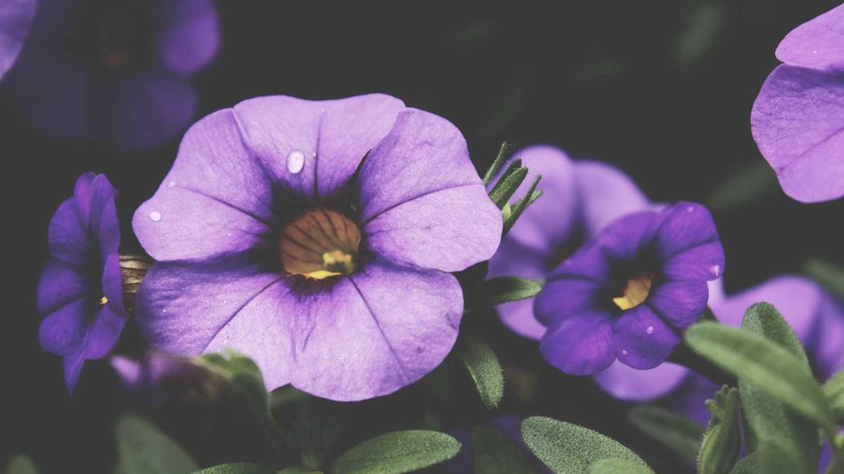 2025中秋晚会湖南卫视节目单