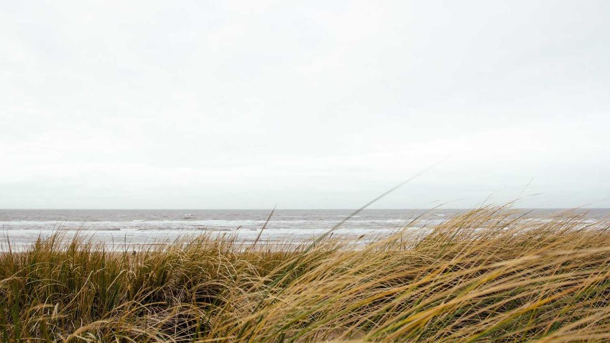毕节市区海拔多少米
