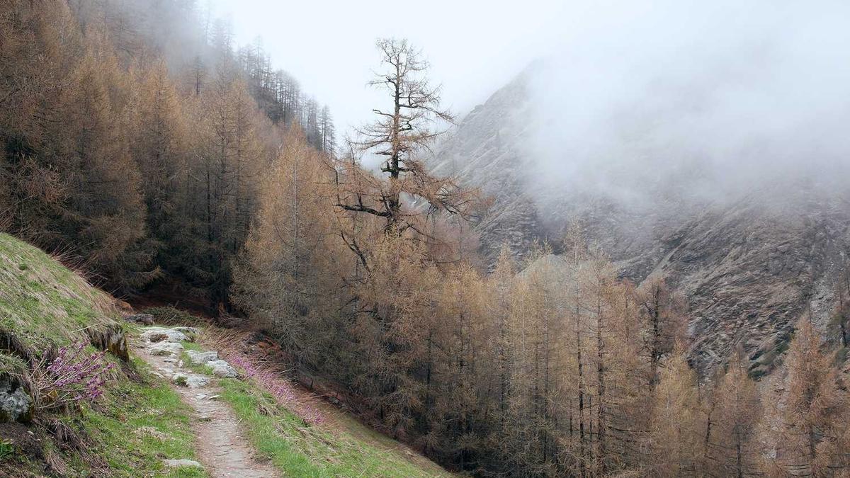 济南明湖城明湖城价格