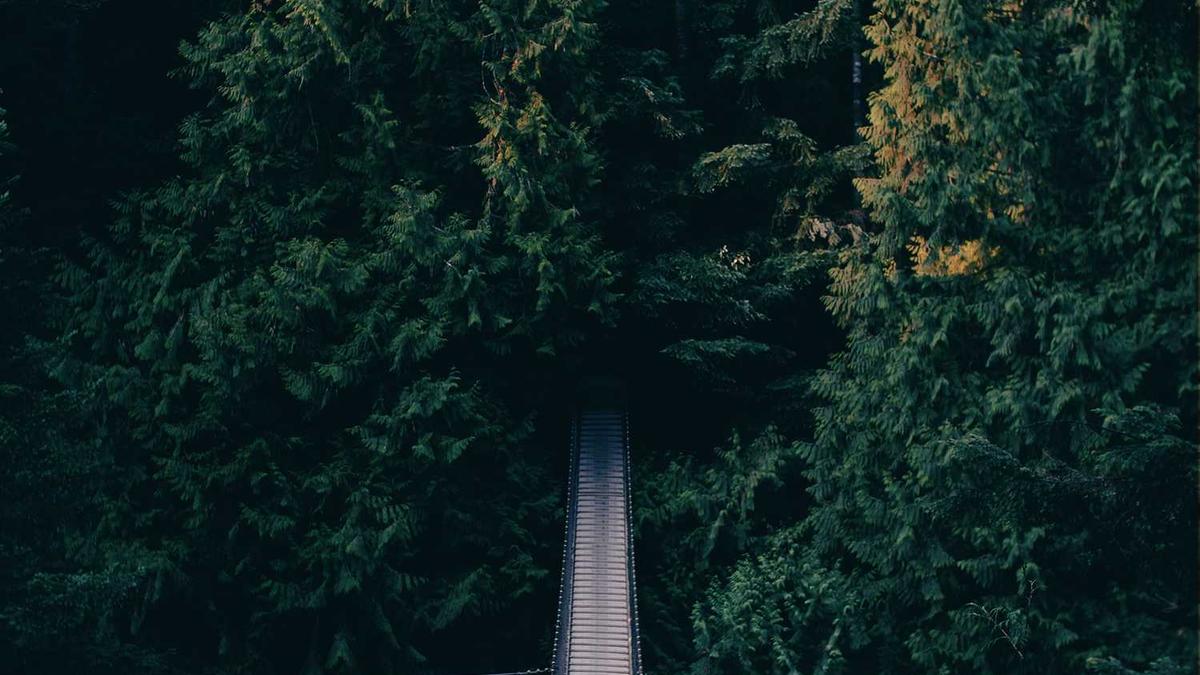 上海交通大学直博生有哪些人?