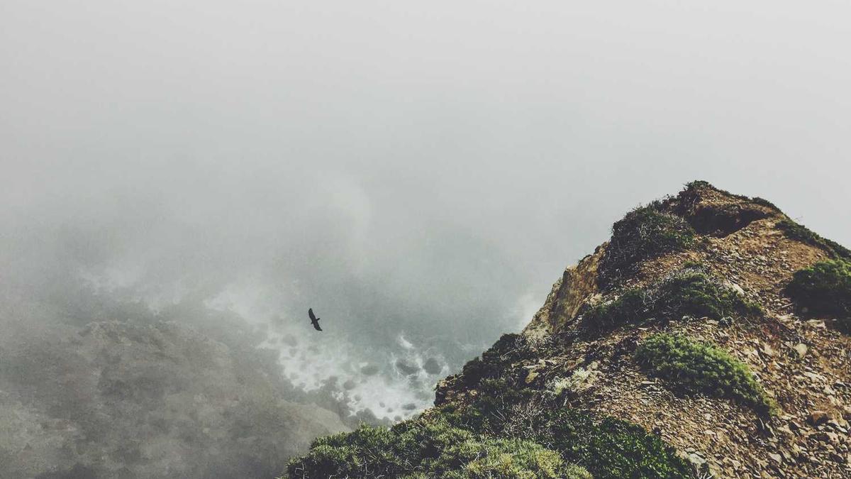 云南镇沅:把“为群众办实事”当成锤炼为民服务本领的“磨刀石”_百度知...