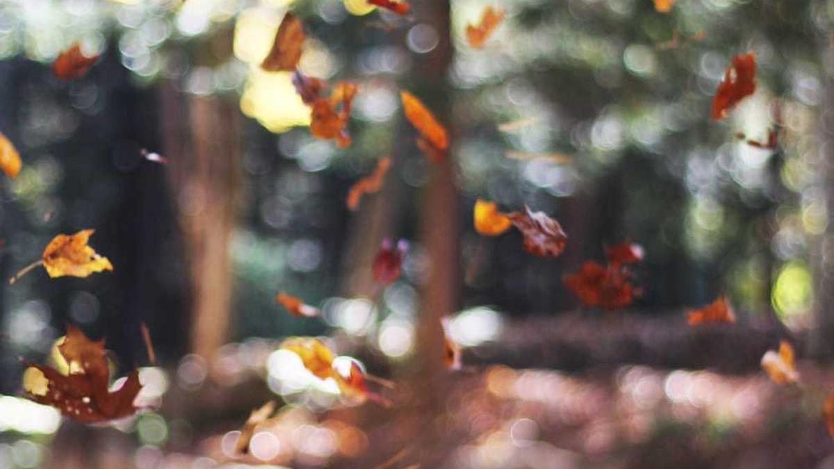 上海海事大学国庆放假安排