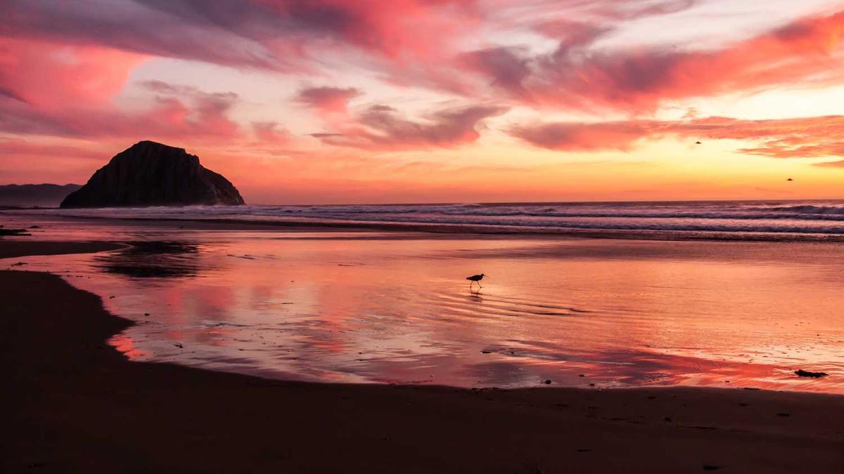 2025年放假时间表全年放假多少天-2025年全年假期天数一览表