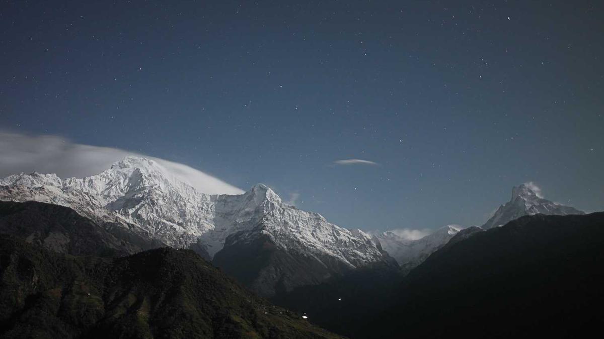 上海谷子一条街在哪个位置