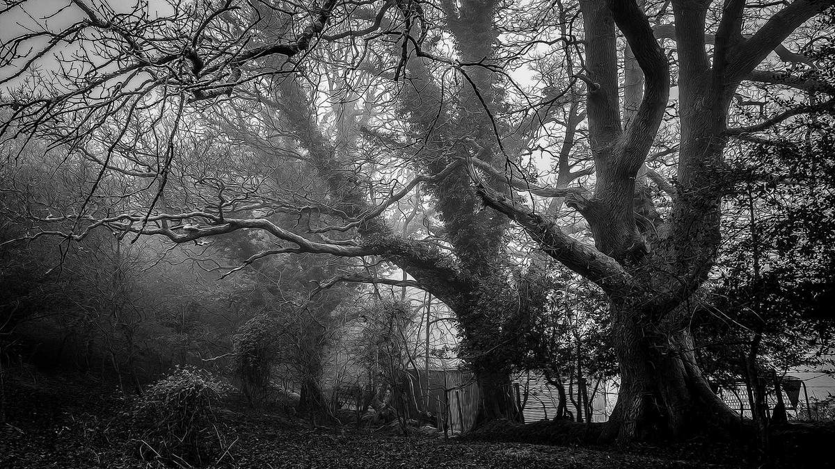 朝阳市人民政府的行政区划