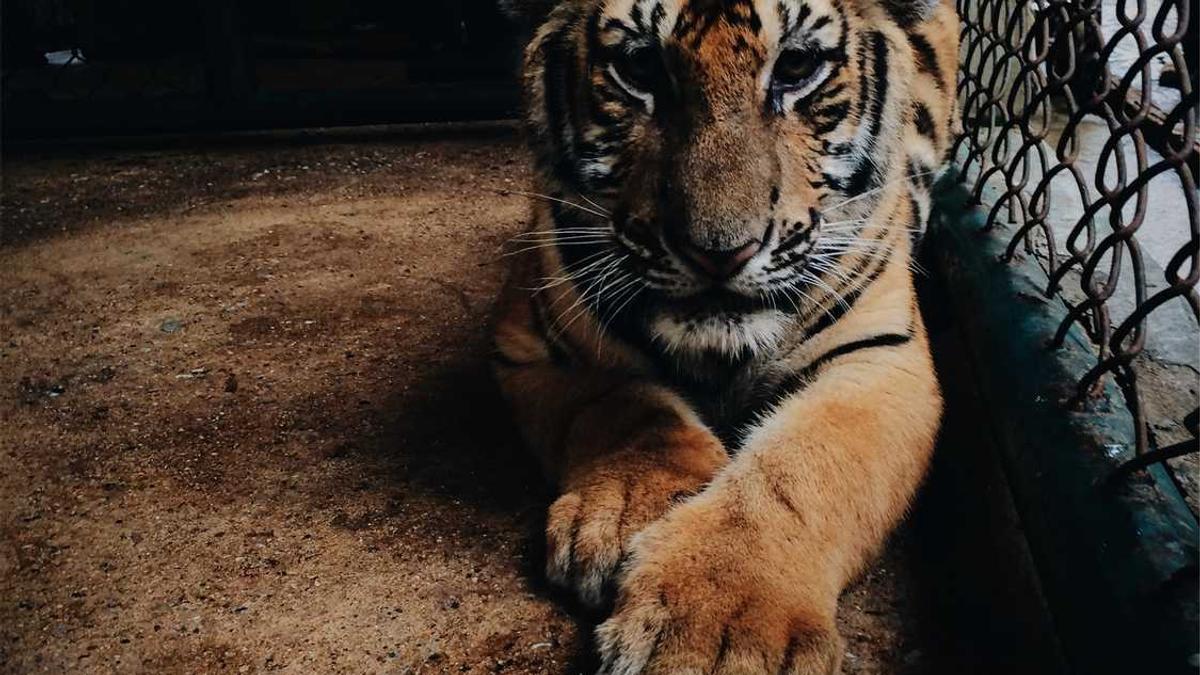 长沙冬天有什么好玩的地方