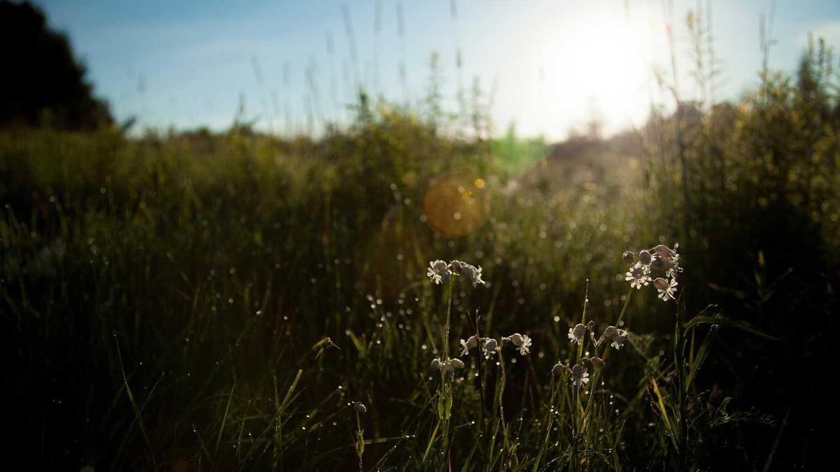 黑河十大著名景点