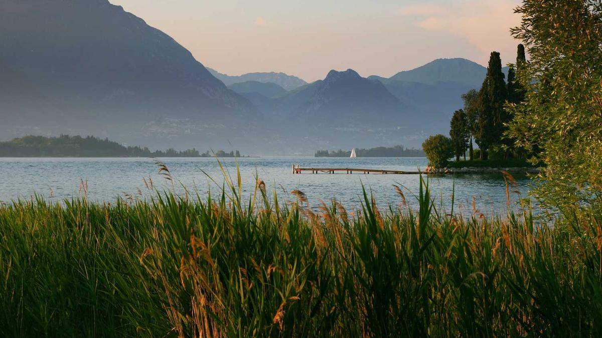 鹤壁市2025年烟草证新规