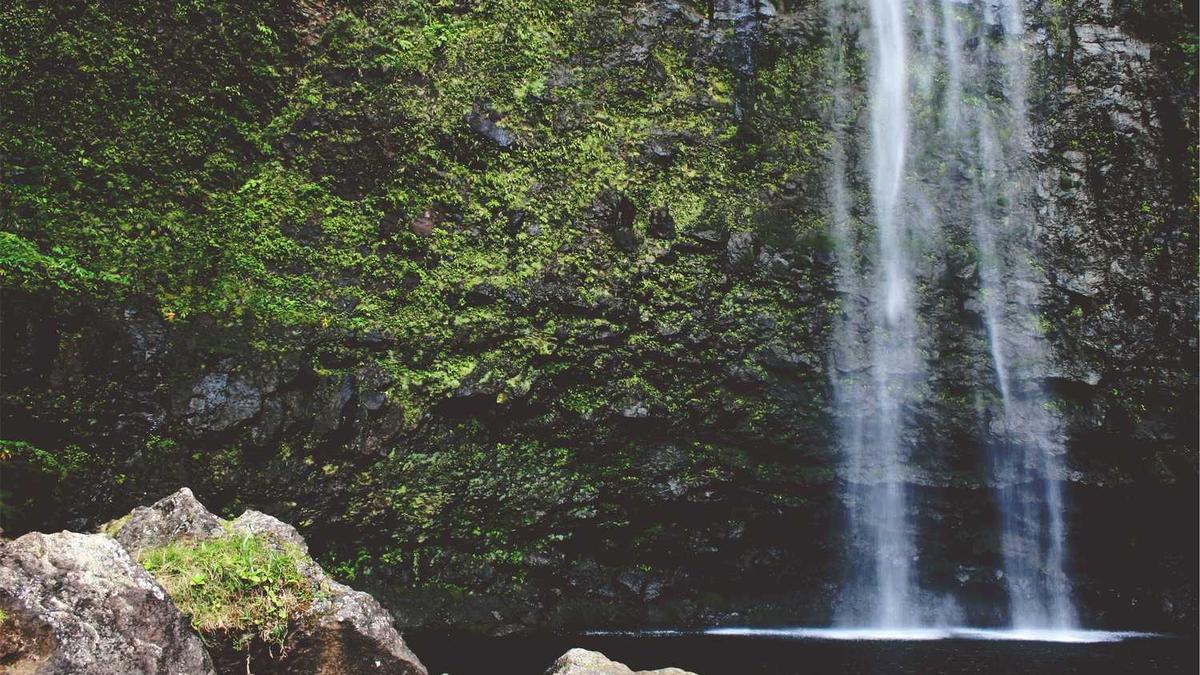 宿迁司柏芝是什么级别