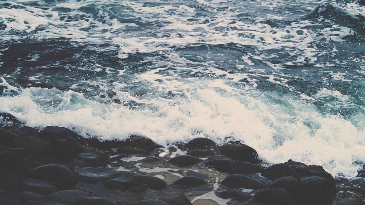 企业担保贷款费用多少