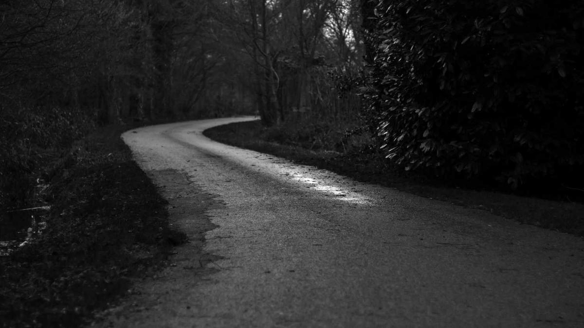 鄂尔多斯集团拥有哪些子公司和涉及的产业领域?