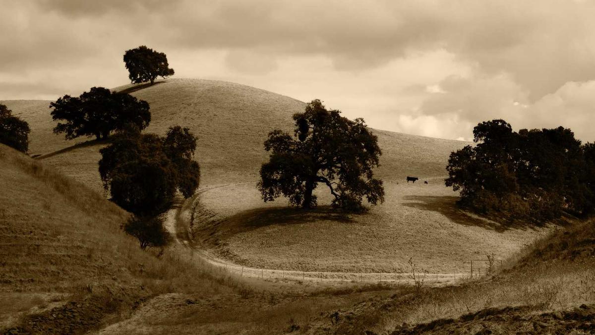 江苏淮安归哪个市