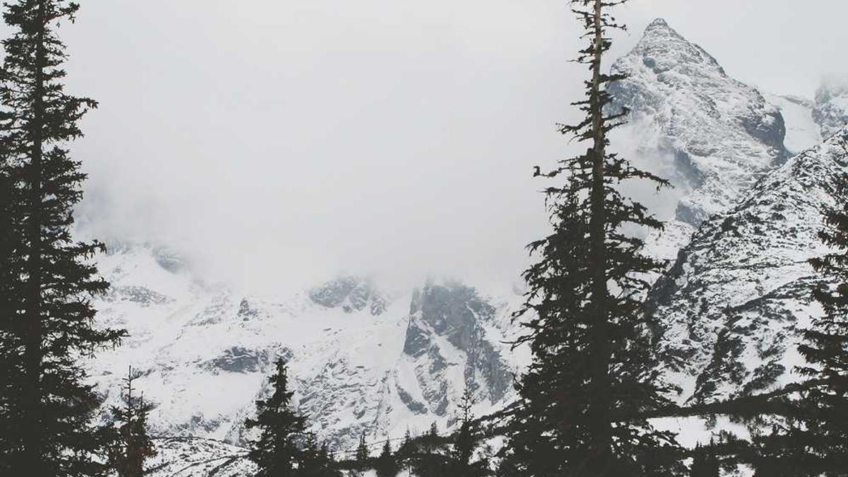 深圳博后补贴待遇