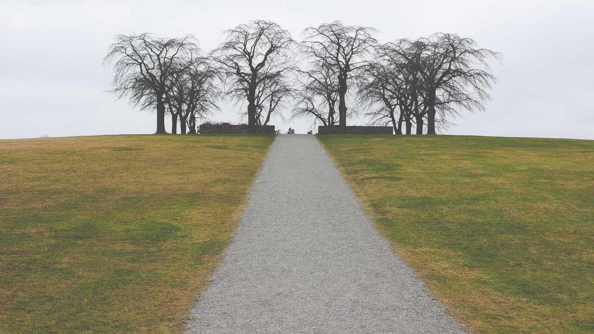 重阳节登高的由来是什么?