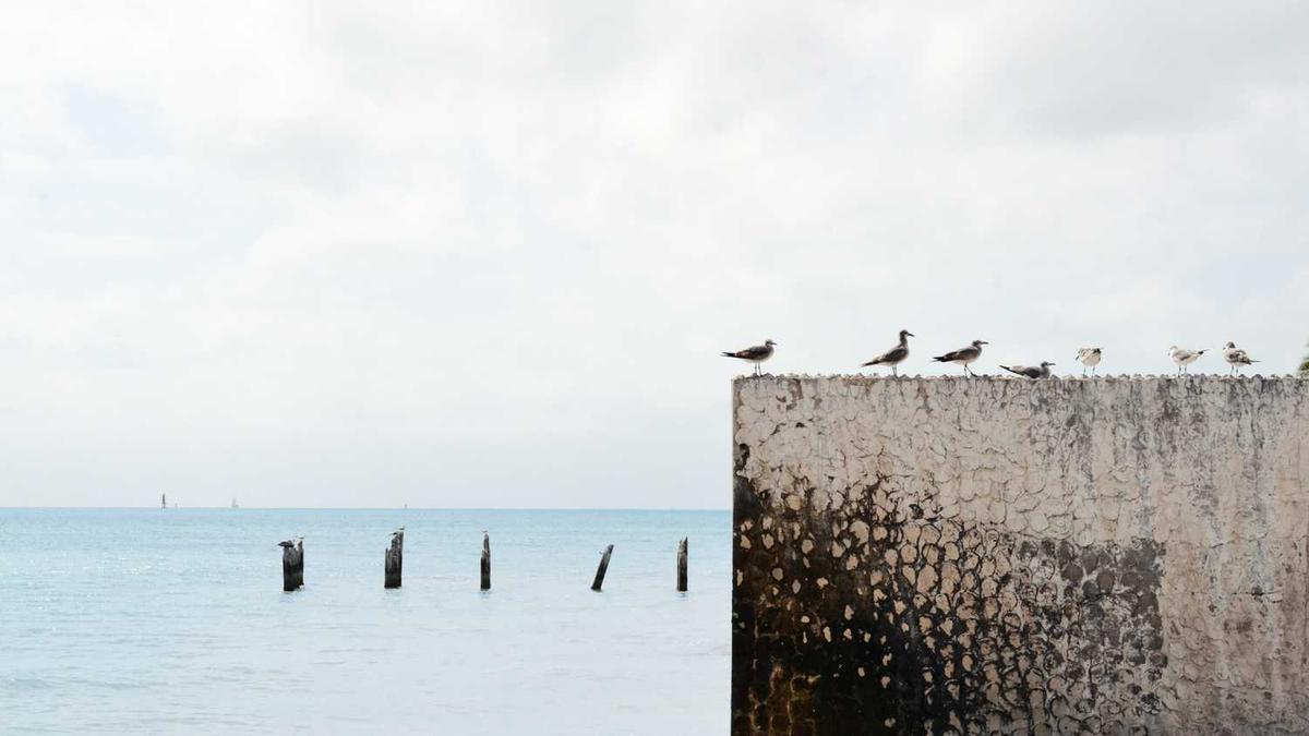 上海买奔驰车嘉兴上牌最便宜的是什么