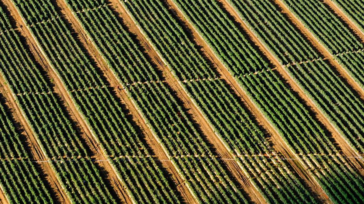 通化火车站搬迁老站怎么规划