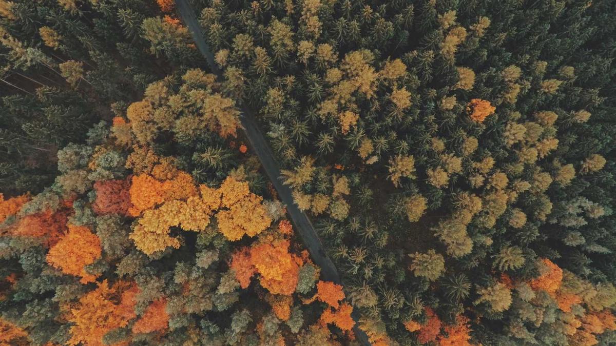 2030年防城港未来房价