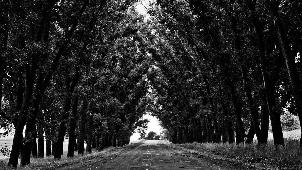 广西北海防城港房价多少钱一平?