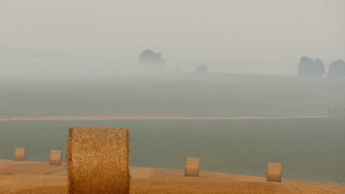 为什么买鄂尔多斯股票