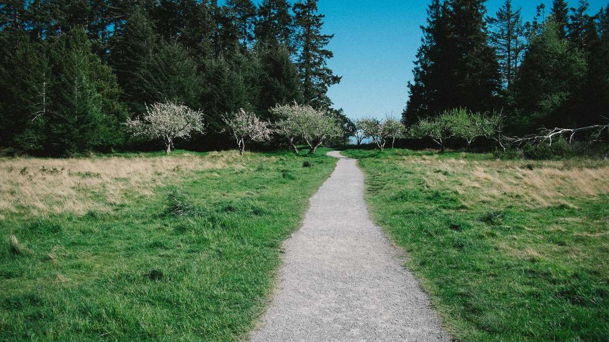 南平市第一医院和人民医院距离多远