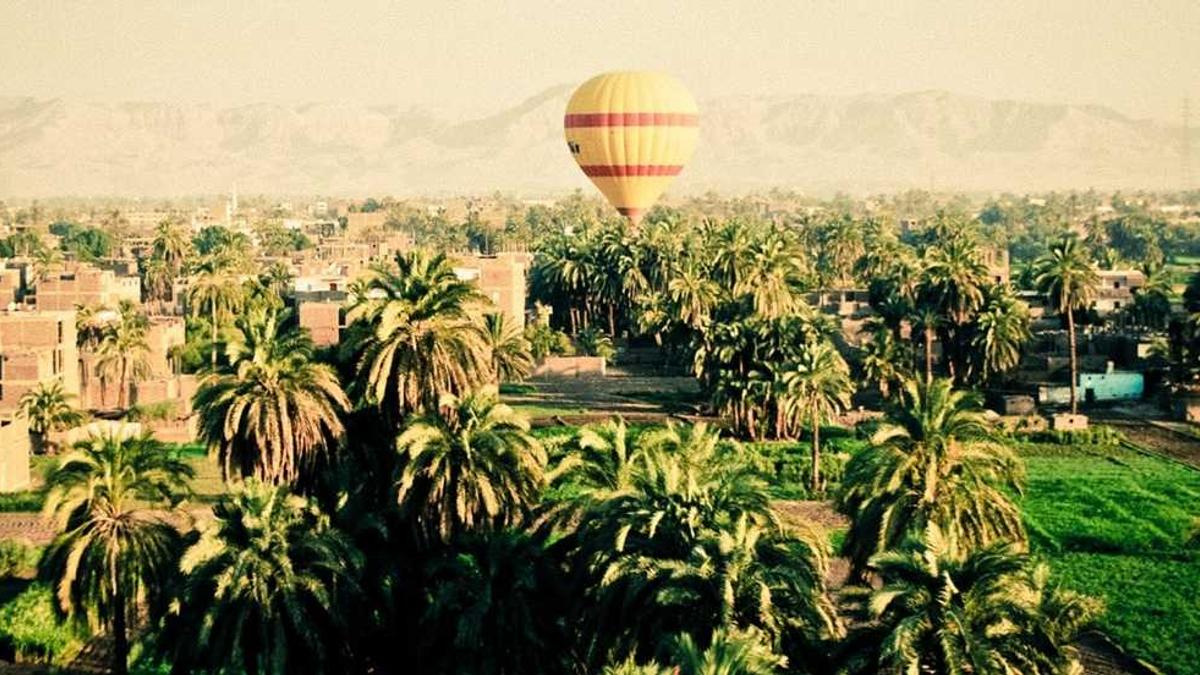 狩猎妻子美剧剧情介绍