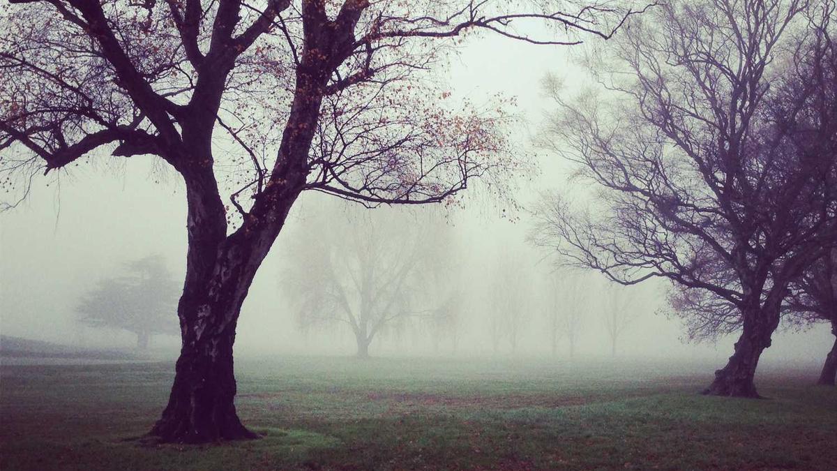 亳州职业技术学院的大门是哪个门