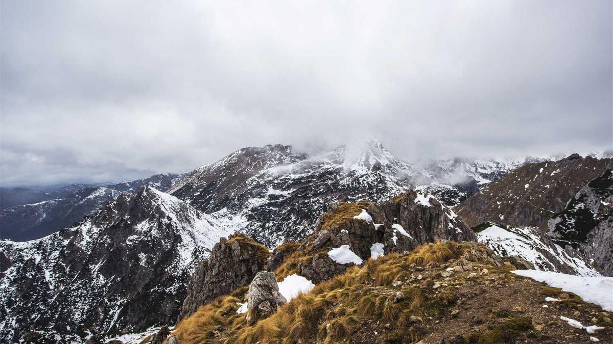 2024年上半年浙江省11个地市GDP及居民收入情况