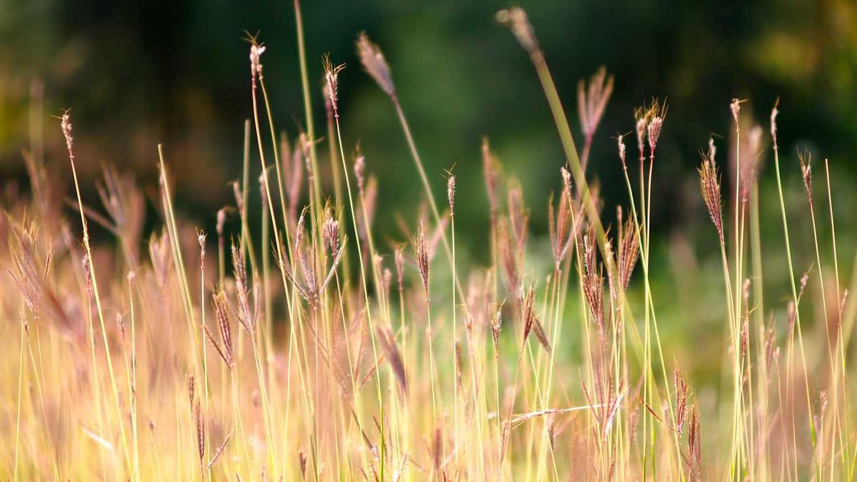 肇庆分几个区几个县