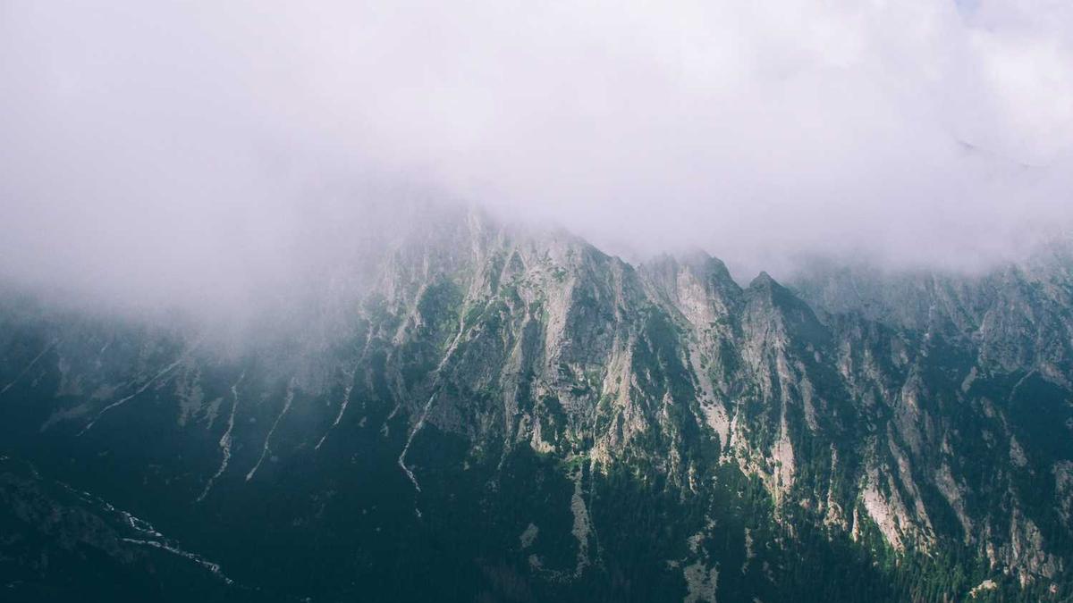 守半盏时光,捻一缕茶香