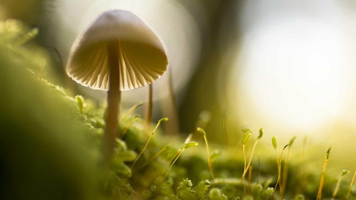 高德地图发布2022五一出行提示