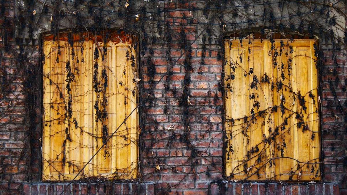 南充市职称评定在那个单位评?联系电话是多少?