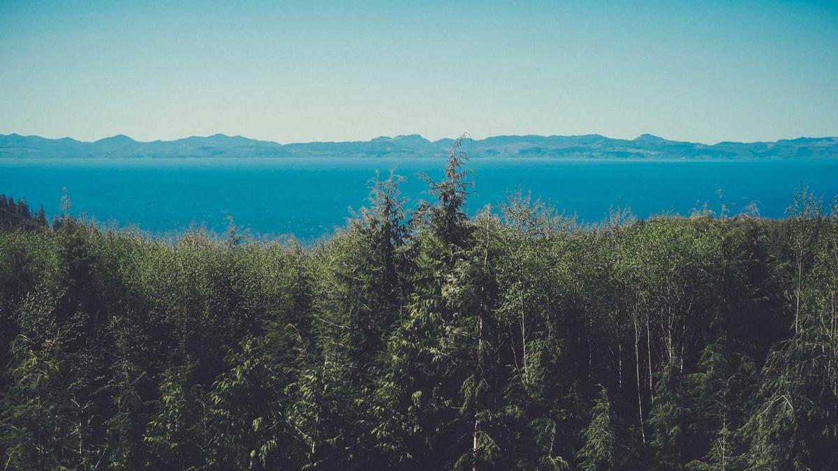 上海loft公寓价格上海loft公寓价格一般多少