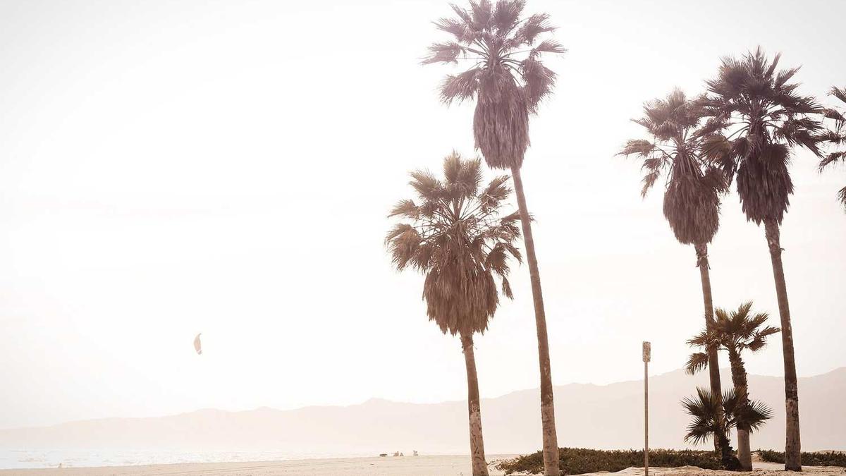 刘备到底是不是中山靖王之后?中山靖王到底是谁?