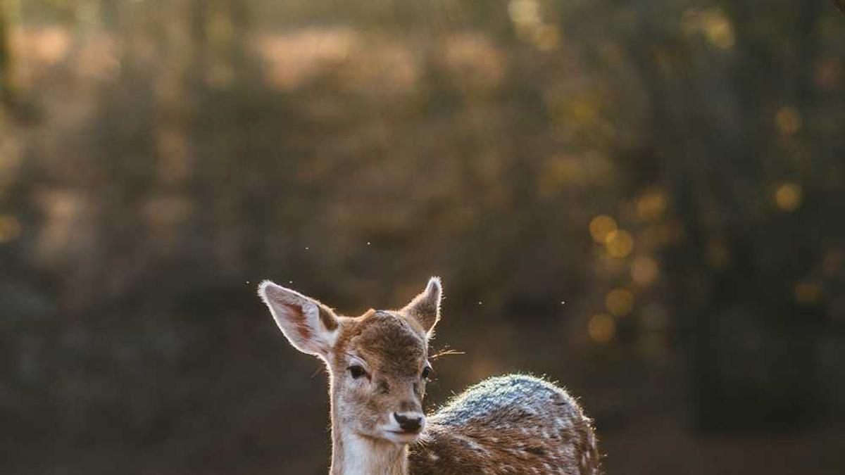马鞍山经开区全域土地综合整治实施方案