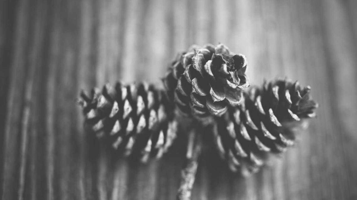 办1张银行卡能拿50元吗?