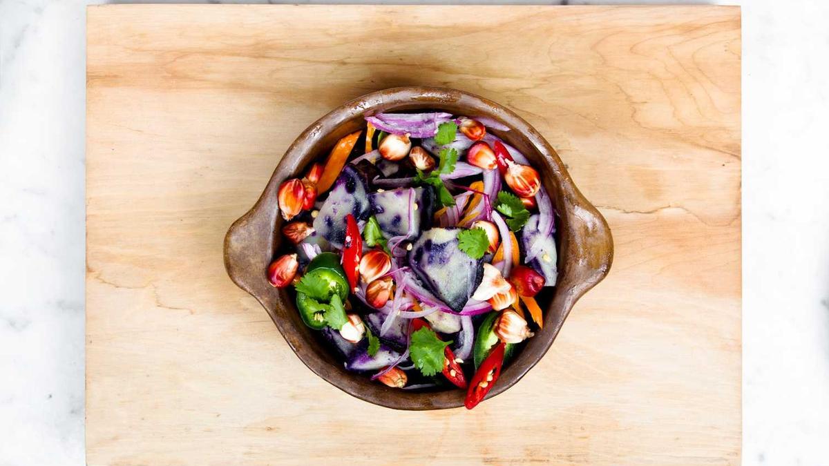 江西倍特力新能源