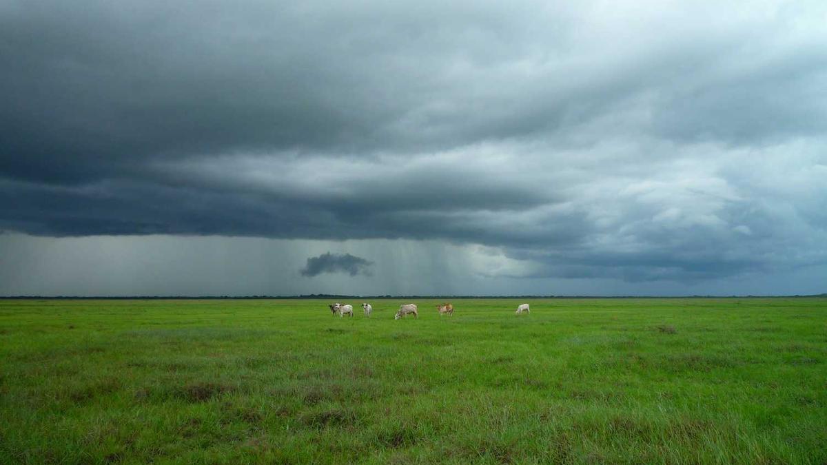 芜湖公安弋江分局招标项目