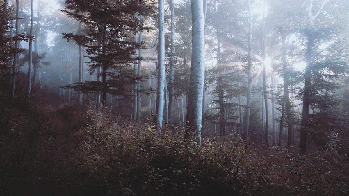 安阳旅游必去十大景点