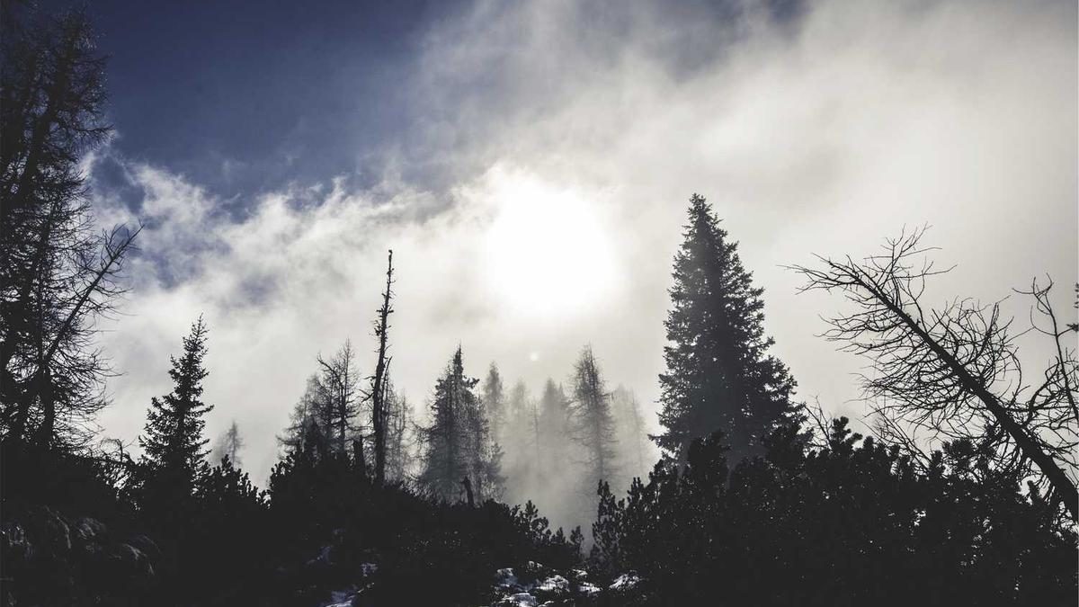 微信上祛痘专家顾问的骗局