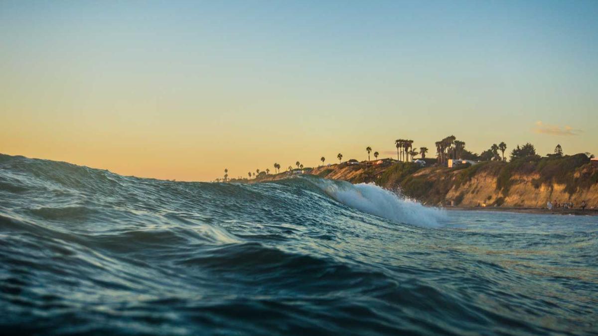2021年1月4日中外民生资讯