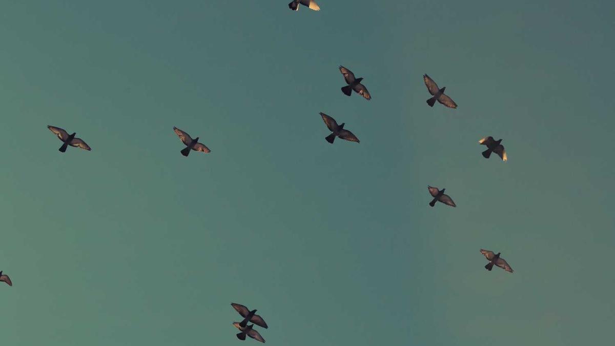 2025年9月15日北京写字楼租房税有哪些?