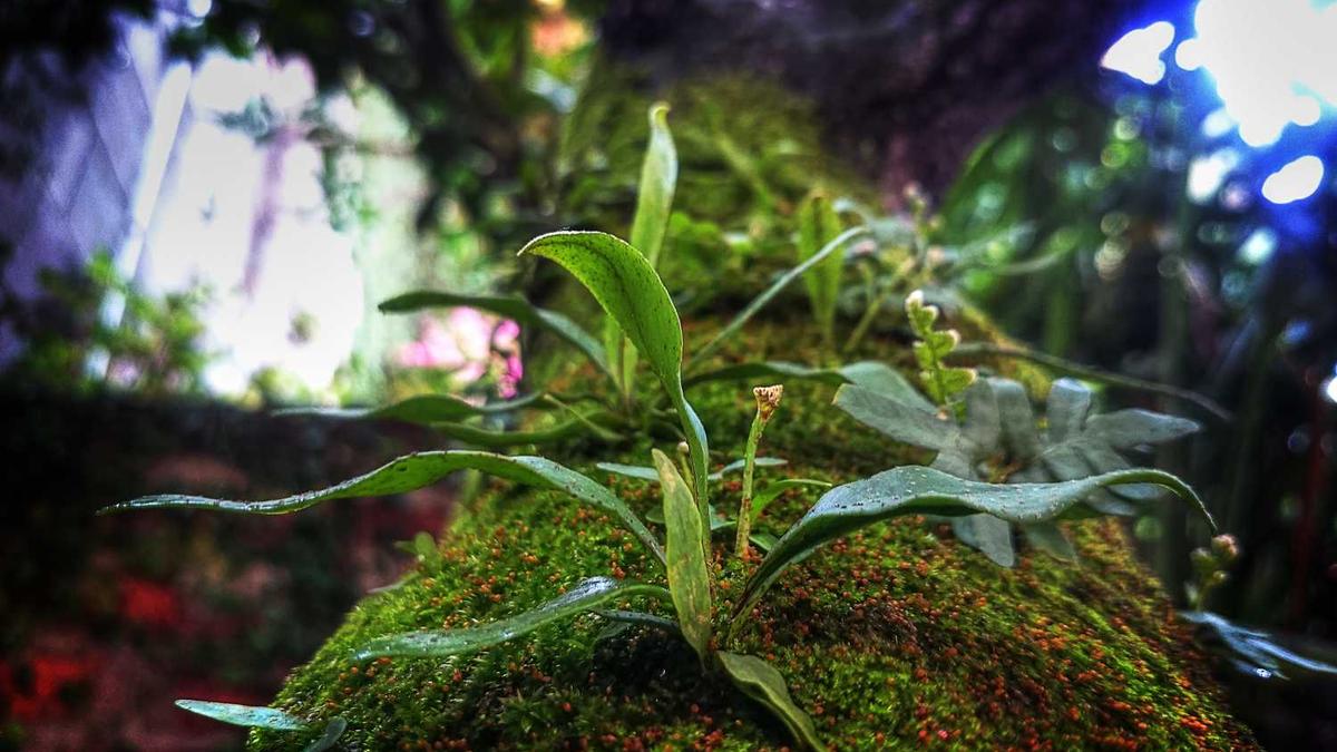 湘谭理工学院学费多少