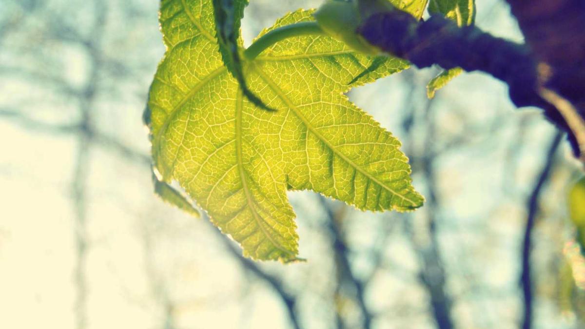 北京什么时候给气