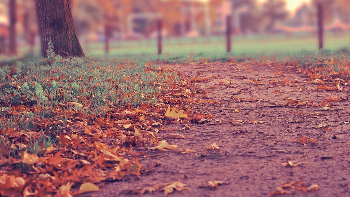 湖北各市的区号是多少