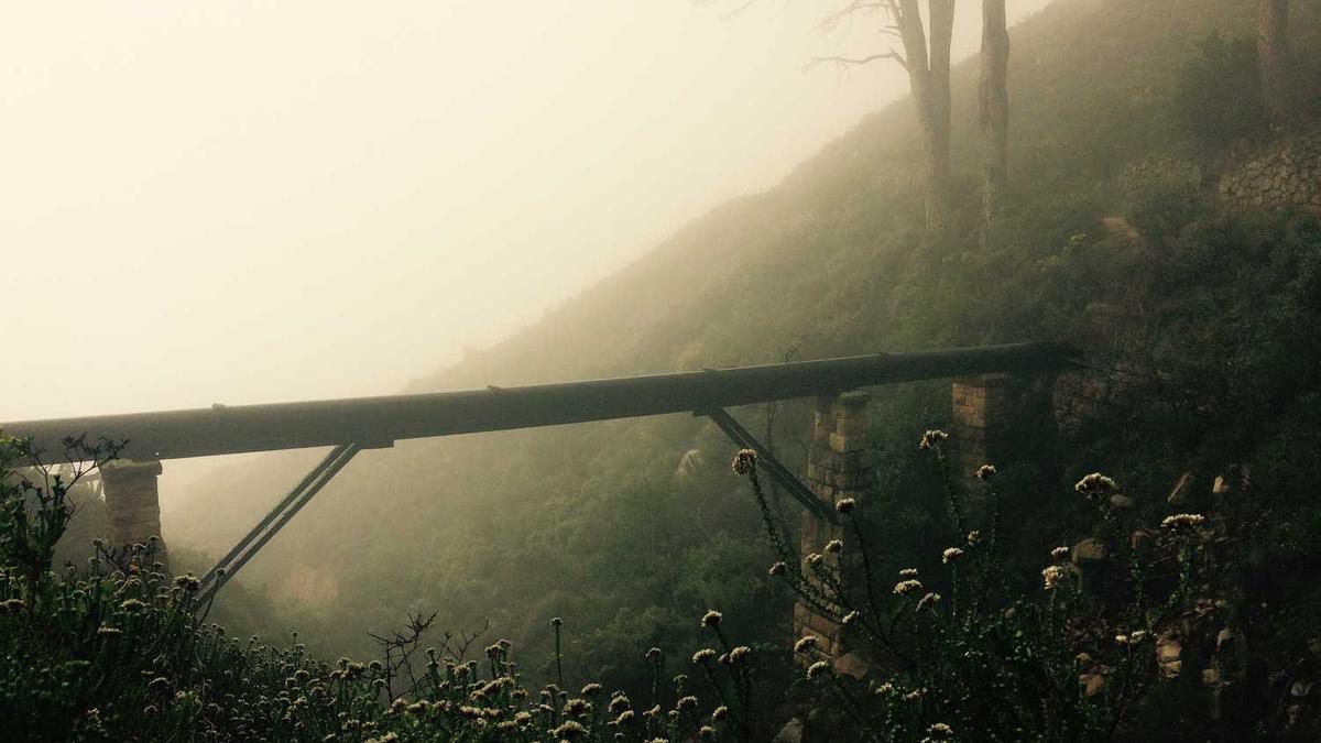 东营油地校融合发展办公室工作怎么样