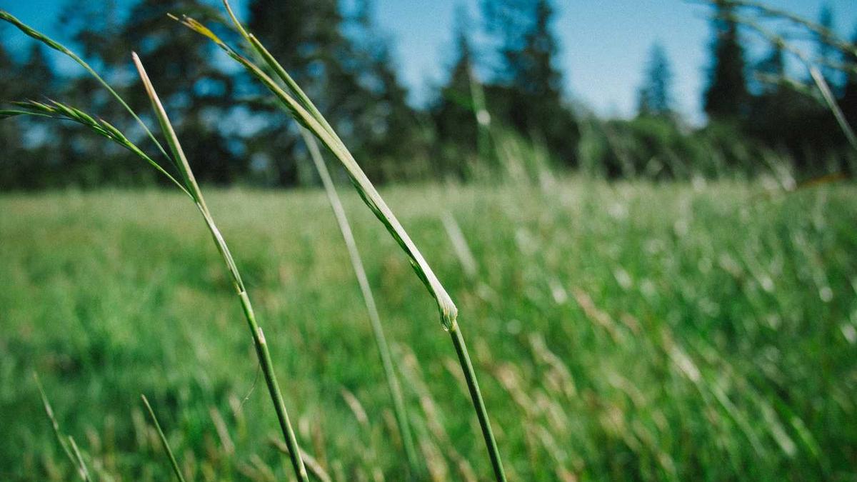 青岛山姆开始招人了吗