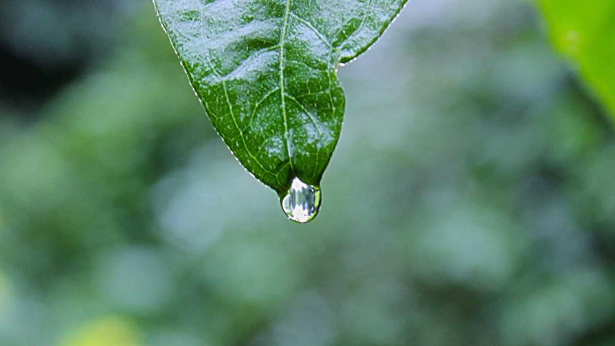 一个城市有几个山姆超市