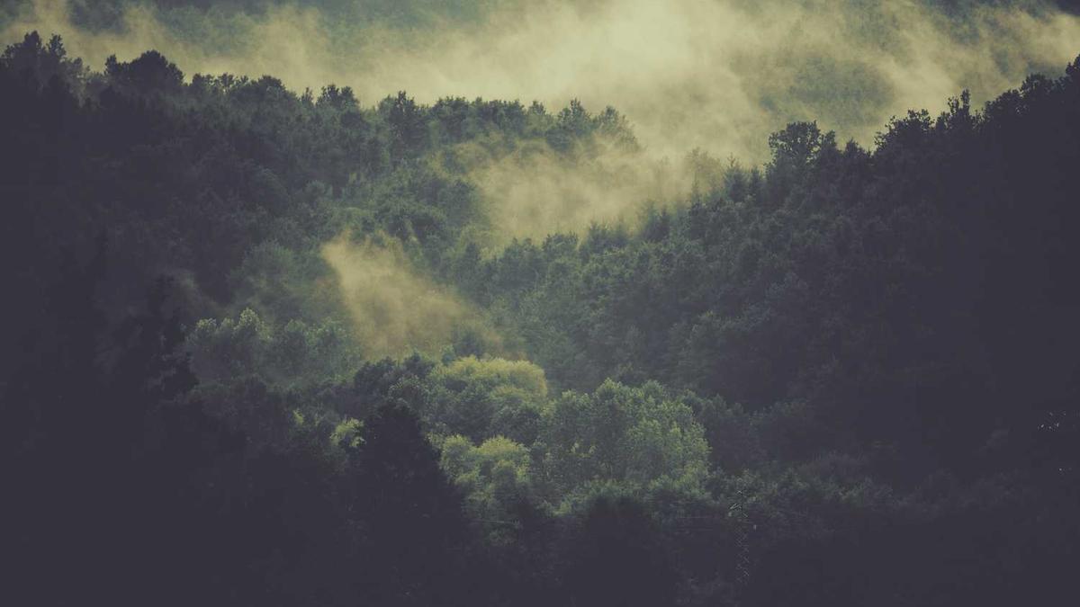 按揭车能不能上营运证跑滴滴