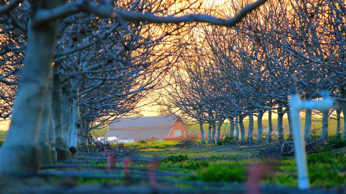 詹州和儋州是一个地方吗