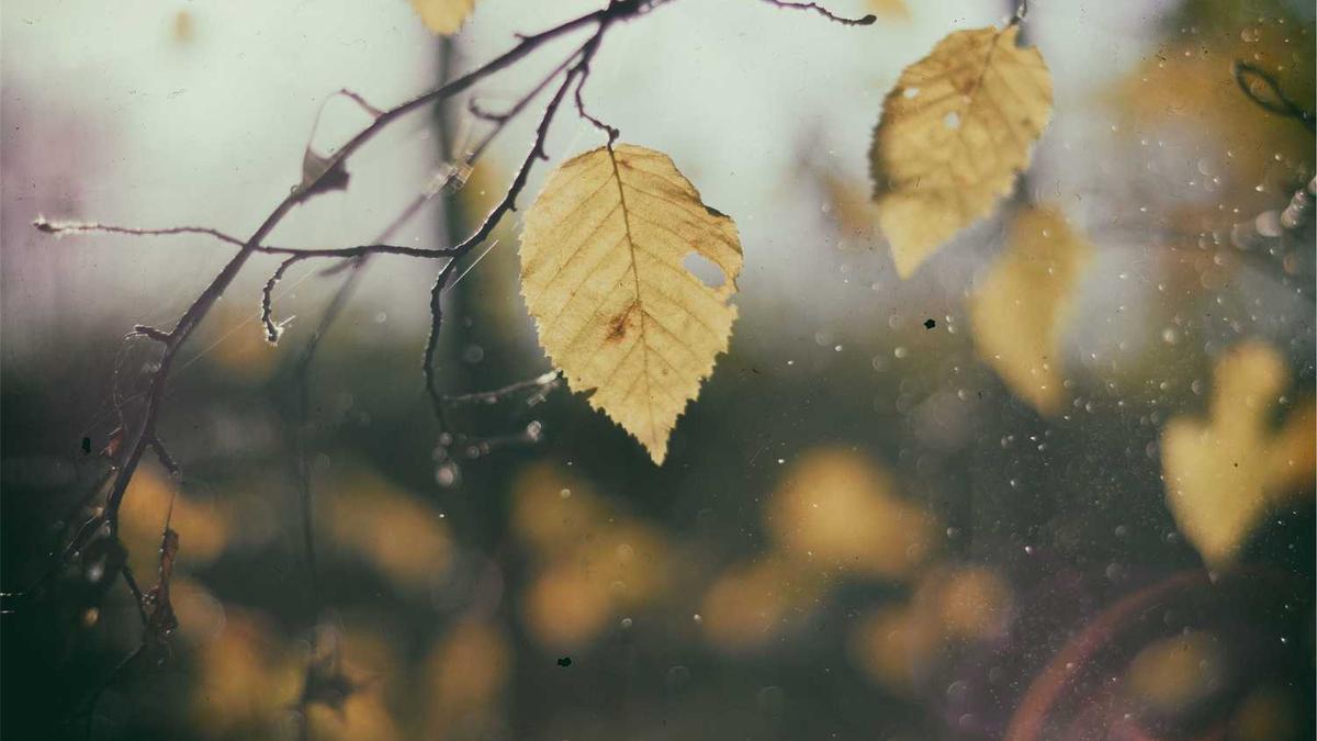 江西省赣州市人民政府现任领导及工作分工